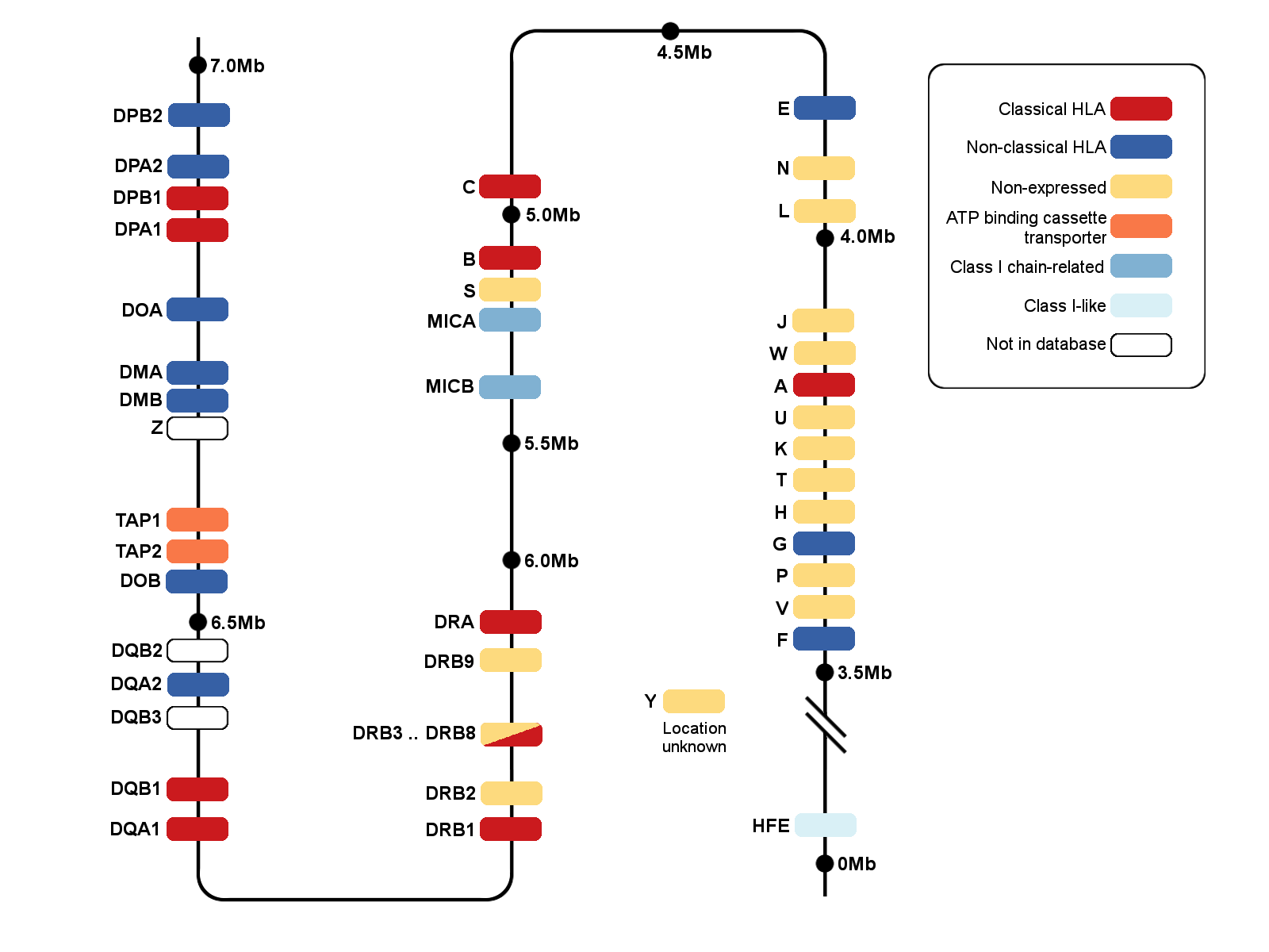 https://www.ncbi.nlm.nih.gov/pmc/articles/PMC5610566/